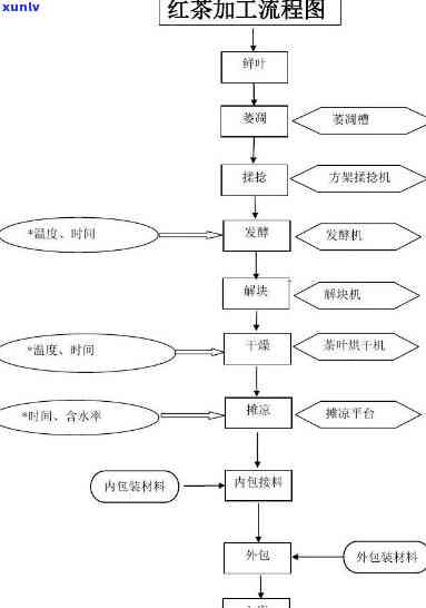 详解红茶的标准与标准化工艺