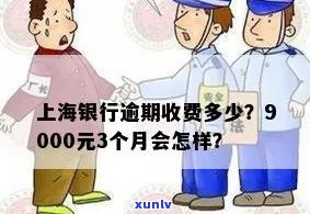 上海银行逾期罚金-上海银行逾期罚金多少