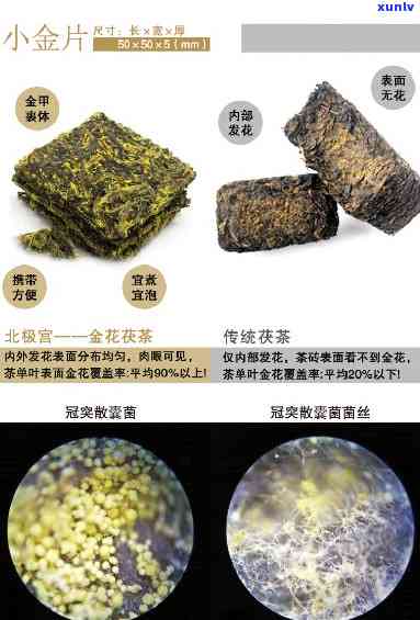 北极宫金花茯茶价格及礼盒装介绍