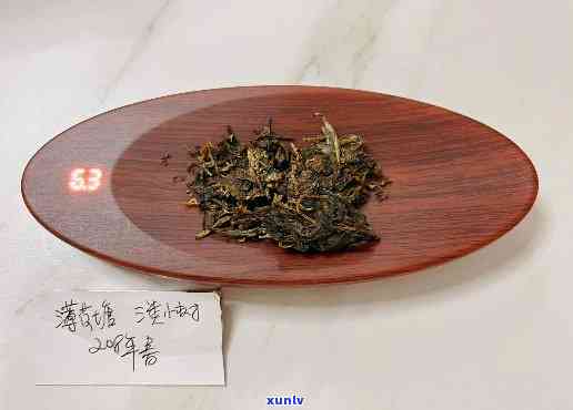 中茶薄荷塘2021，探索健饮品新选择：试喝中茶薄荷塘2021