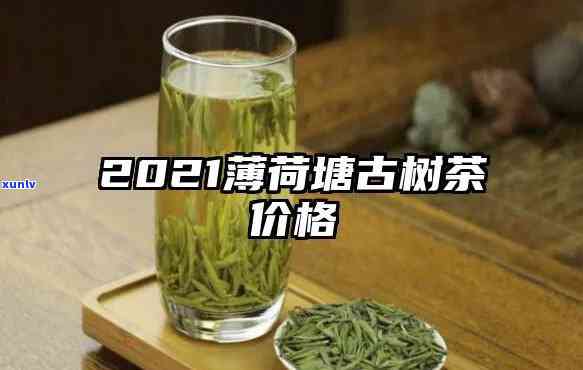 中茶薄荷塘多少一饼-中茶薄荷塘2021