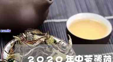 查询中茶薄荷塘2022真伪及2020年价格，了解普洱茶全貌