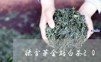 绿雪芽金芽茶礼价格及详细介绍，包括金砖礼茶评价