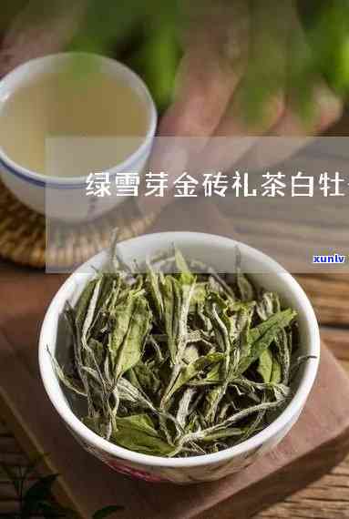 绿雪芽金砖礼茶价格-绿雪芽金砖礼茶价格是多少