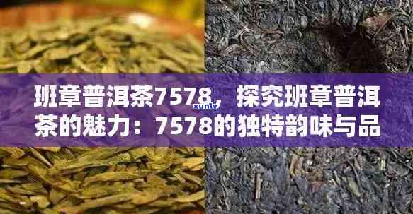 中茶7578，探索中国传统茶叶：了解中茶7578的特色和魅力