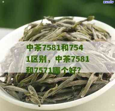 2006凤庆茶厂f7815：三款经典普洱茶特辑