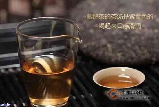 紫鹃红茶的冲泡 *** -紫鹃红茶的冲泡 *** 视频