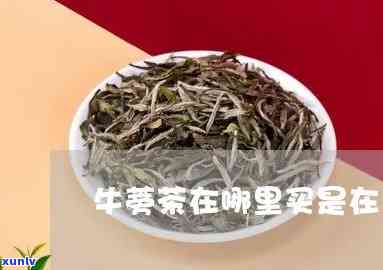 药店有卖牛蒡茶的吗知乎，在知乎上询问：药店是否有售卖牛蒡茶？