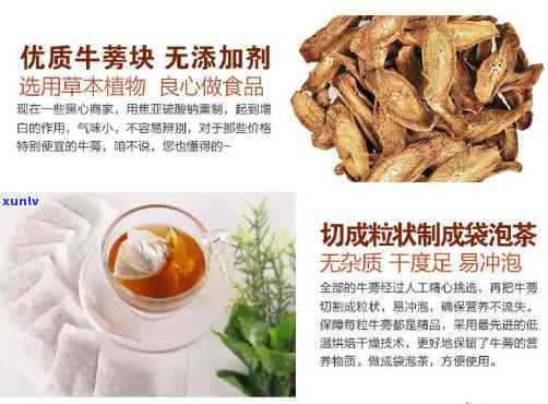 全面熟悉牛蒡茶：功效、成分与禁忌