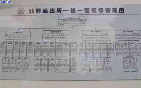 平安逾期减免政策：多久能还本金？短信通知内容是什么？