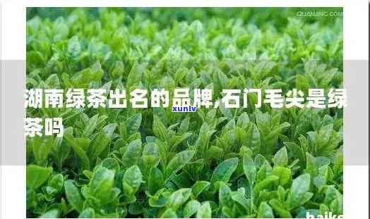 石门什么茶有名？揭晓当地知名茶叶品种！