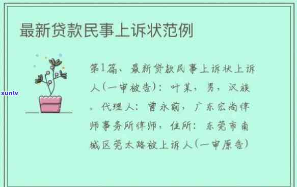 全面解析上海金融贷款起诉流程及案例