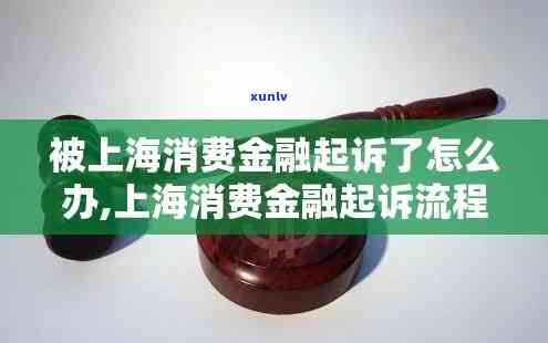 全面解析上海金融贷款起诉流程及案例