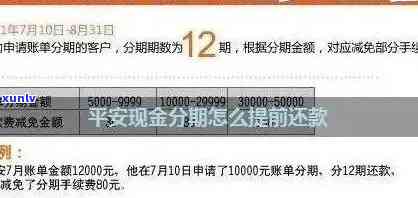 平安逾期分期方案-平安逾期分期方案怎么写