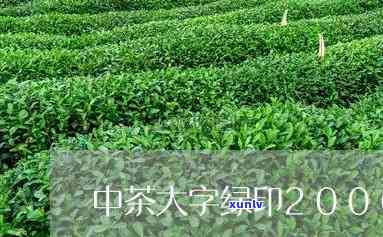 2006年中茶绿印-2006年中茶绿印价格