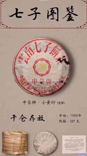 1999年中茶绿印真伪鉴别：包装与7262版的比较分析