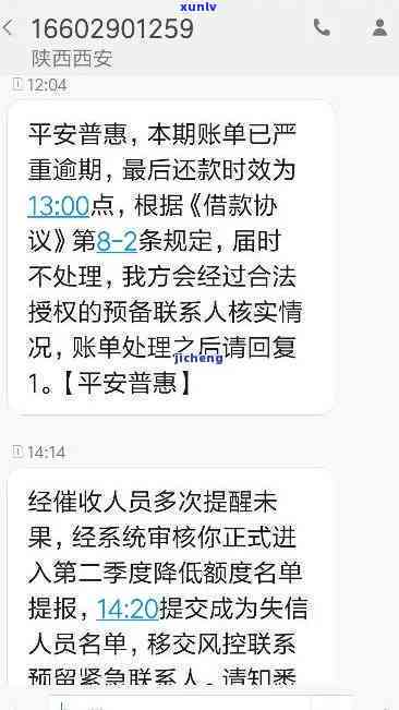 平安普逾期8年会怎样，平安普逾期8年：可能面临的后果与解决方案