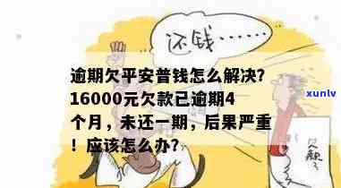 平安普逾期一万多三年会冻结我名下的资金吗？已逾期4个月，欠款16000元，怎样解决？