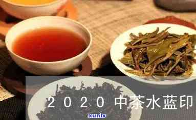 2020中茶水印有假货吗？知乎用户分享真假辨别 *** ！