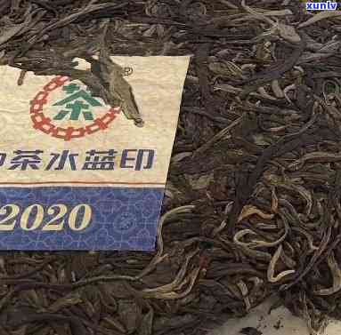 2020年中茶水印：价格及是否值得入手？