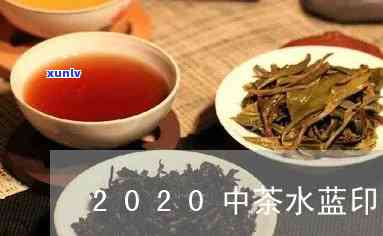 2020中茶水印：升值空间解析