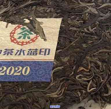 中茶2020水印-中茶2020水印价格走势