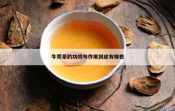 泡牛旁茶喝有什么功效，探索泡牛旁茶的健益处