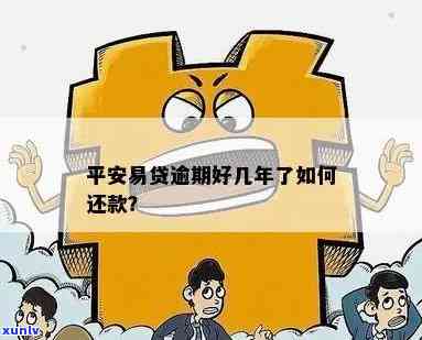 信用卡逾期无力偿还解决办法：民法典出台后的沟通与处理