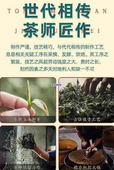 大岚云雾茶125克价格是多少？单盒、单瓶售价如何计算？