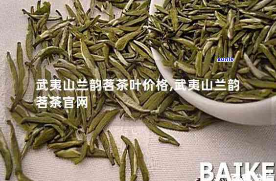 武夷山的传韵茶价格-武夷山传韵茶叶多少钱