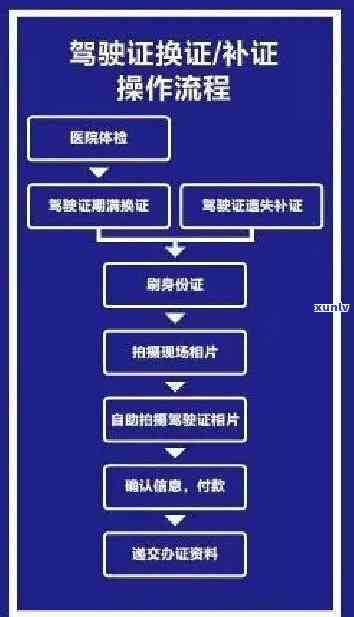 上海驾照期审验需要什么手续，上海驾照期审验办理指南：你需要知道的手续和流程