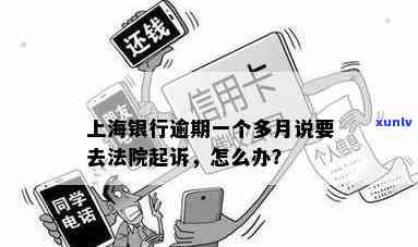 云南特产普洱茶价格实攻略：书带你品鉴高品质茶香