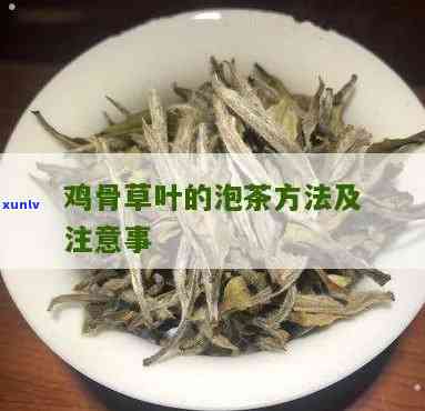 鸡骨草叶泡茶的功效禁忌，探秘鸡骨草叶泡茶的神奇功效与饮用禁忌