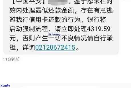 平安口袋网贷逾期了怎么办，平安口袋网贷逾期解决攻略