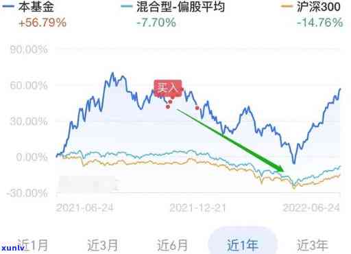 上海合丰基金逾期怎么办，怎样解决上海合丰基金的逾期疑问？