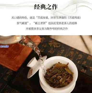 11年陈升号霸王沱-2011年陈升号霸王沱茶