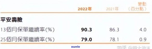 平安银行逾期年报查看指南