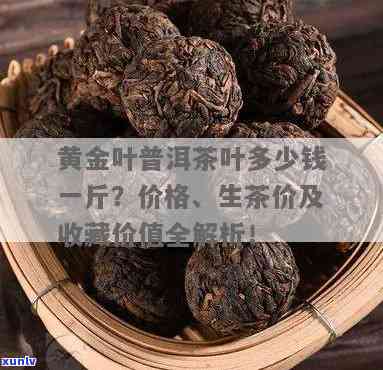 古树金叶普洱茶多少钱，价格揭秘：古树金叶普洱茶的市场价格是多少？