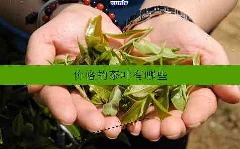 南京江郎茶价格-南京郎茶多少钱一斤