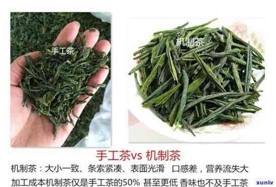 南京江郎茶价格-南京郎茶多少钱一斤