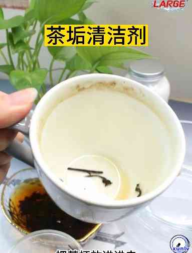 泡茶的水杯怎么清洗-泡茶的水杯怎么清洗才干净