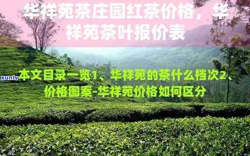 华祥苑茗茶颂桐价格表全览：详细信息与图片一应俱全