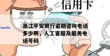 平安普逾期    号码是多少？