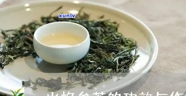 火焰蔘代用茶的价格-火焰蔘代用茶的功效与作用