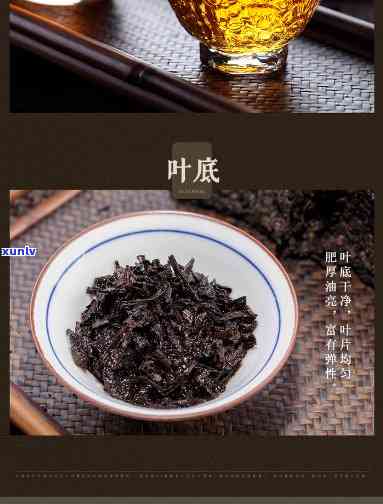 海堤金花香橼茶价格-海堤金花香橼茶属于高档茶吗