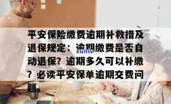 平安保险逾期多久可以补缴，平安保险：逾期后多少时间可以补缴保费？