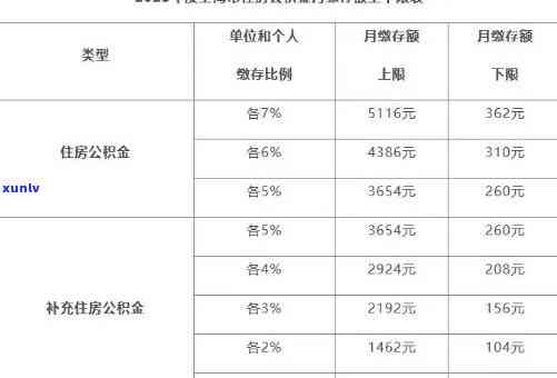 上海缴费滞纳金计算  及标准全解析