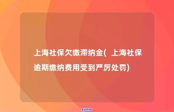 上海缴费逾期-上海缴费逾期怎么处罚