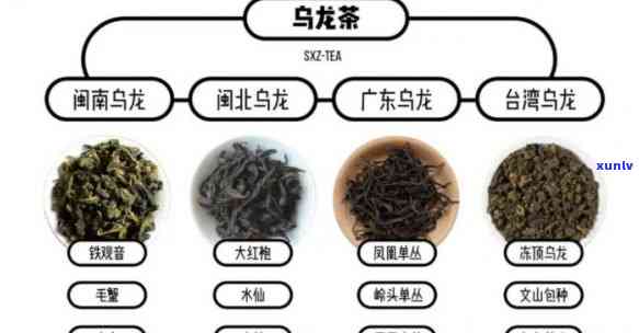 我国产青茶的省份-我国产青茶的省份是哪里