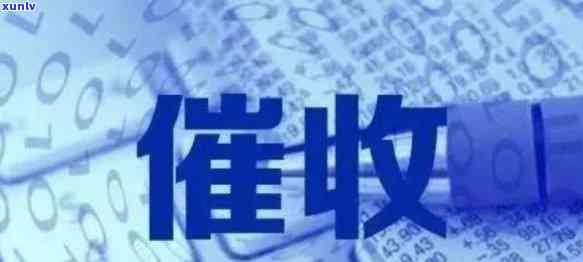 上海新规：最新规定与政策解读